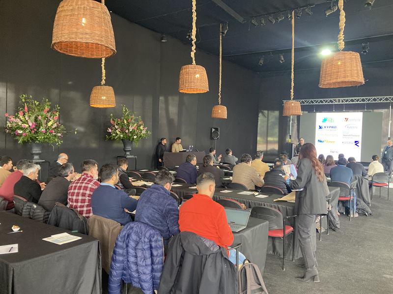Vista amplia de la sala de sesiones con lámparas colgantes de mimbre y el público completo