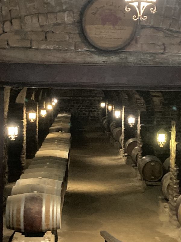 Bodega iluminada con lámparas y barricas de roble apiladas a ambos lados